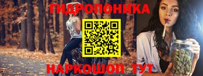 шишки Коммунар