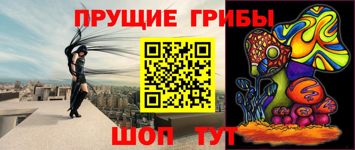Галлюциногенные грибы Psilocybe Холмск