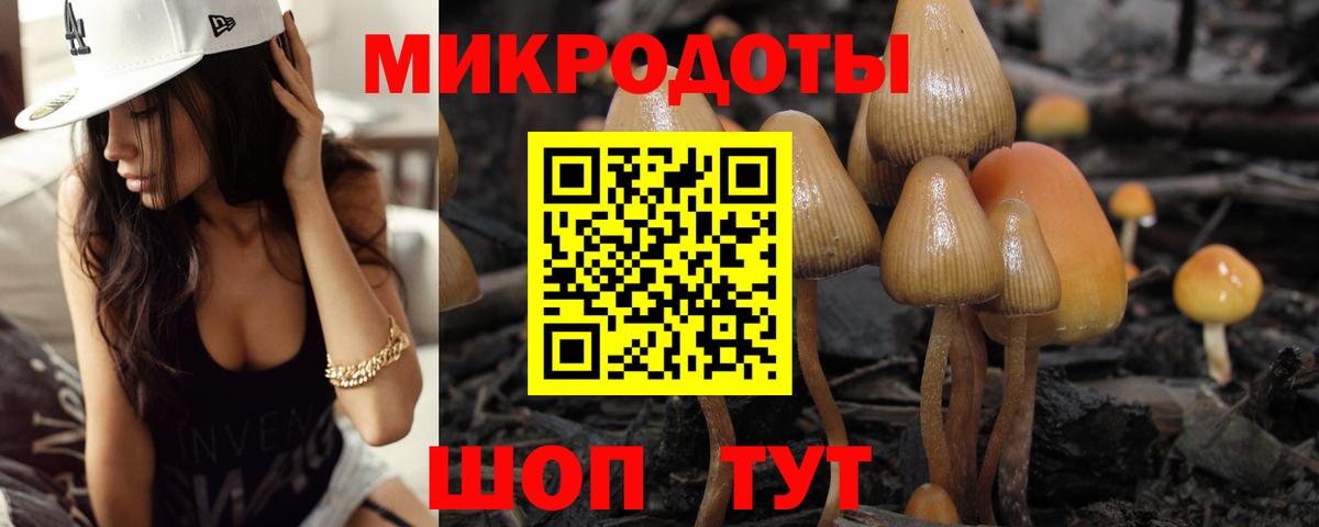 Холмск  Псилоцибиновые грибы ЛСД  Вход с VPN  Псилоцибиновые грибы мицелий 